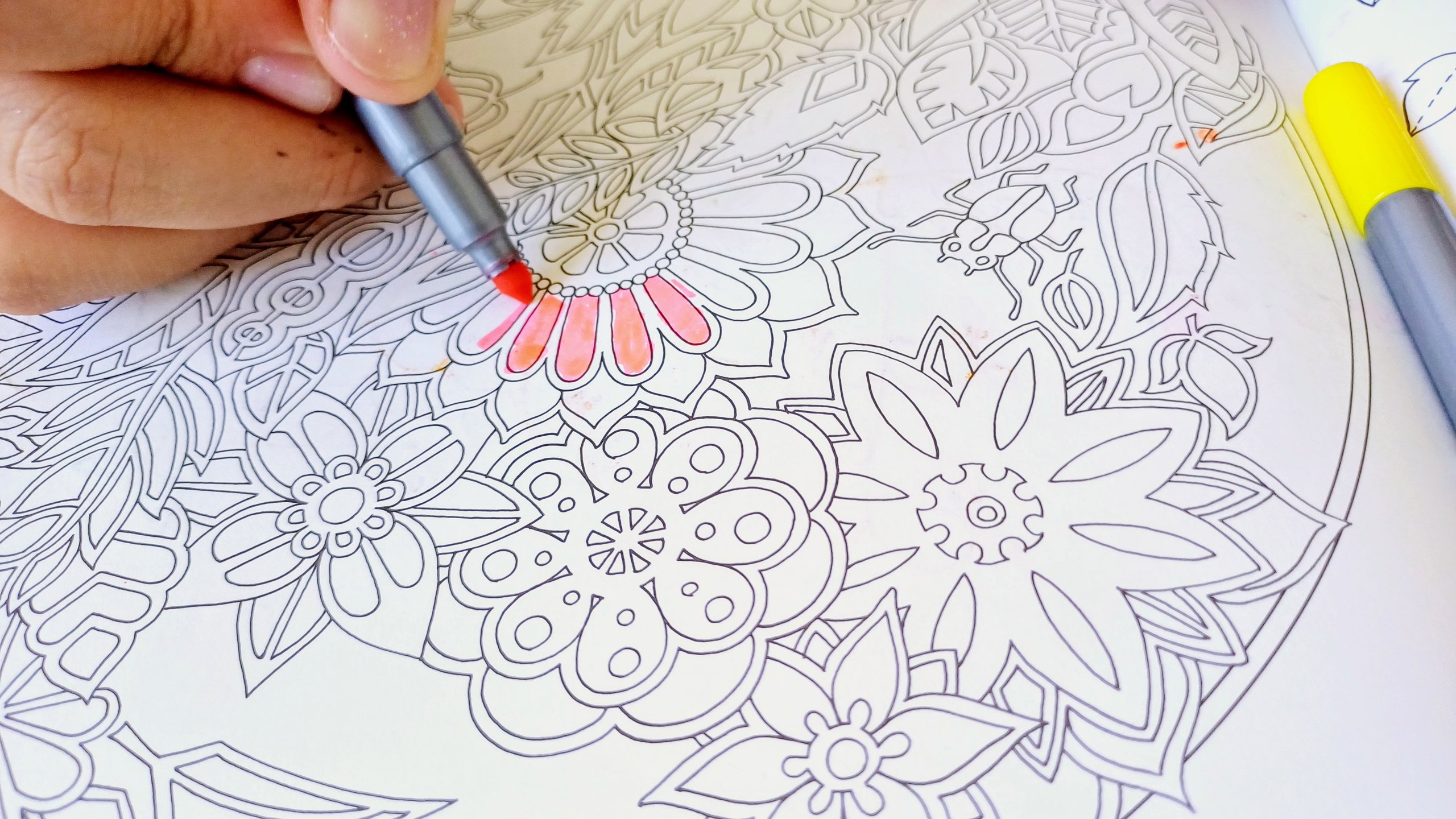 Coloring books open spread